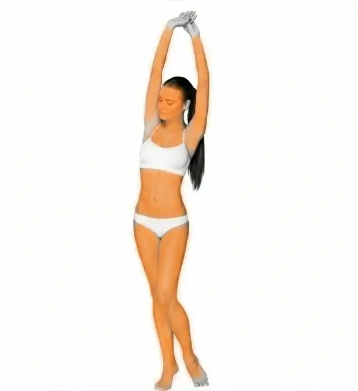 Full Body Laser Hair Removal